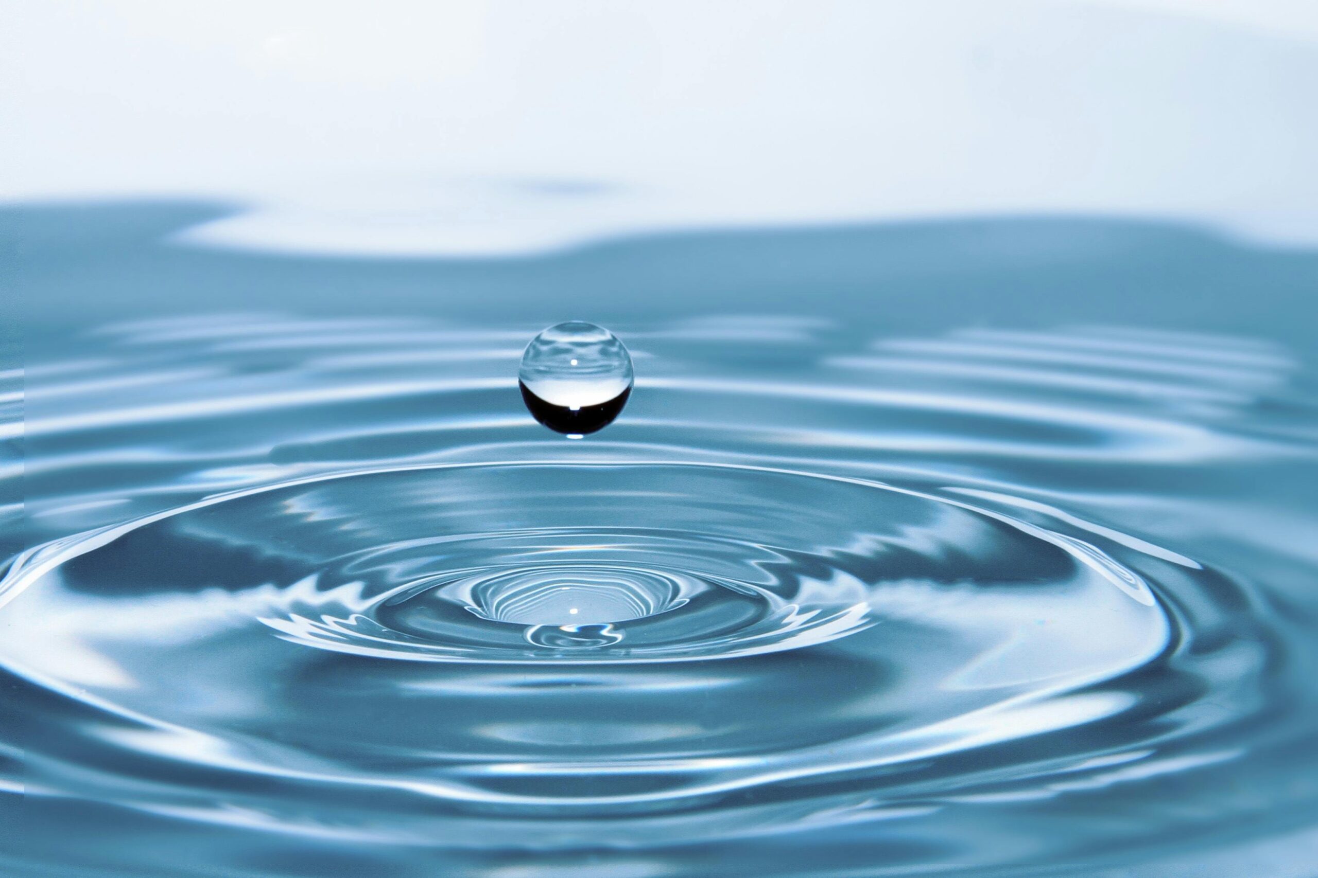 1 environnement-baleine